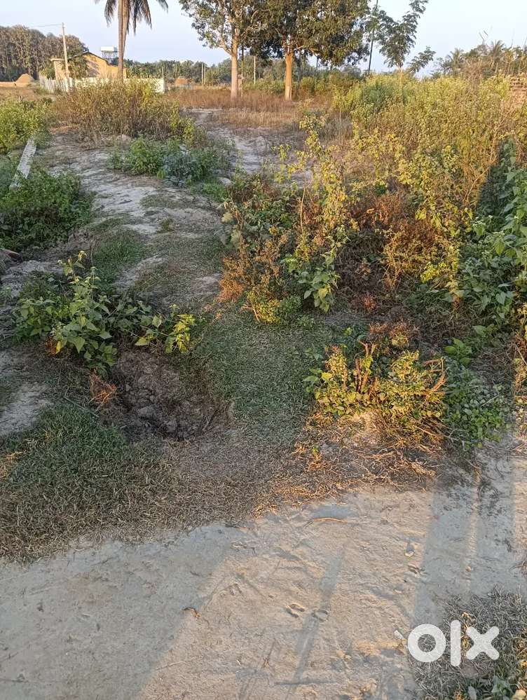 38 lecha Land for sale