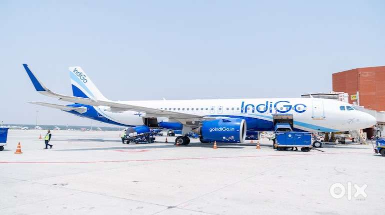 Urgent Requirement For Ground Staff Jobs In IndiGo Airlines