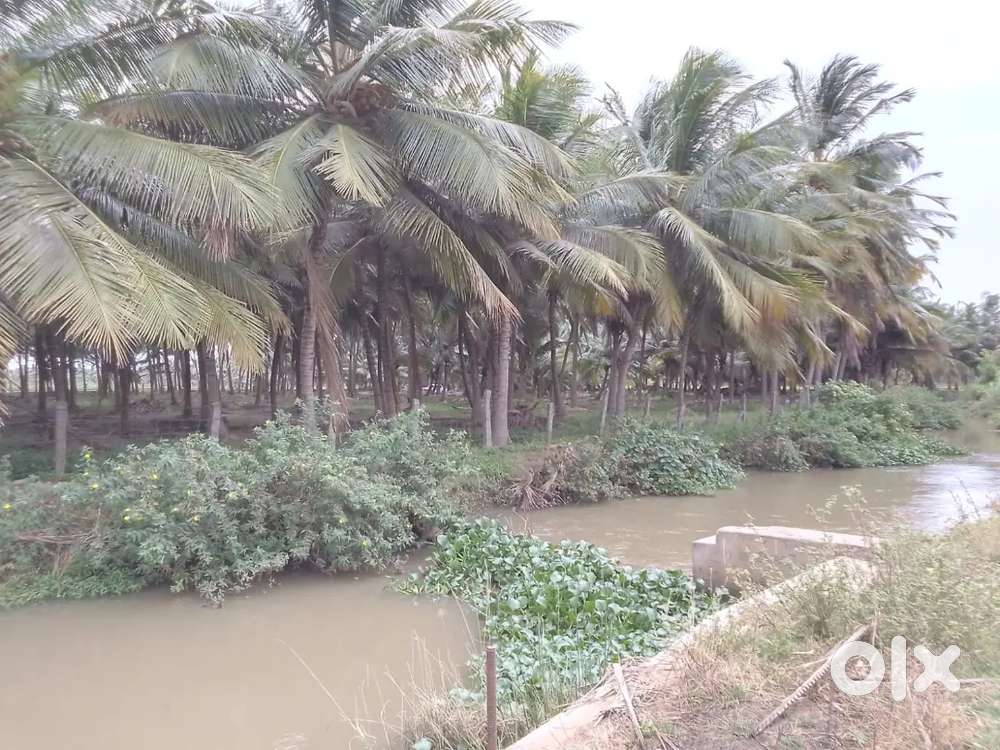 Farmer விவசாயி தேவை -  किसान चाहिए -  কৃষক দরকার - କୃଷକ ଆବଶ୍ୟକ