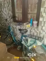24 reeva ic bicycle