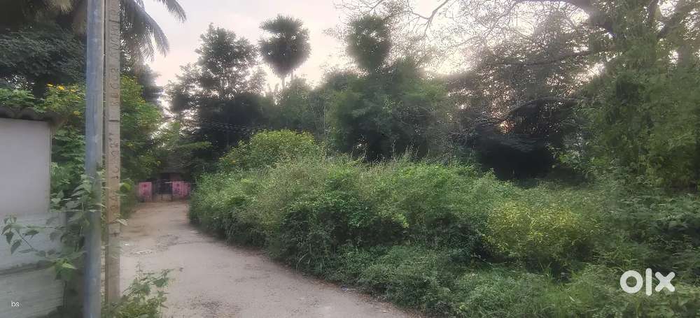 20 cent Parambu for sale AKG Nagar, Kadamkode, Palakkad