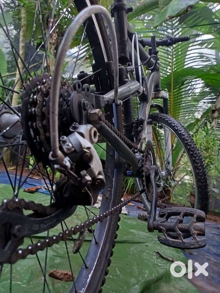 CUSTOM GEAR CYCLE FOR SALE!
