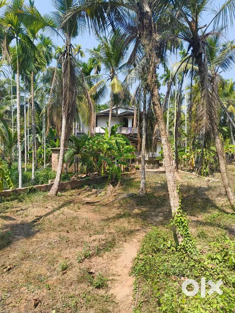 House and 30 cent land for sale