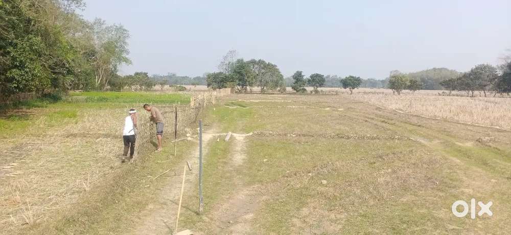 Land for sell