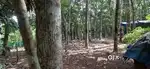 35 cent plot land, vattappara, vettinadu