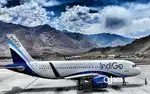 Freshers Female Condidate IndiGo Airlines