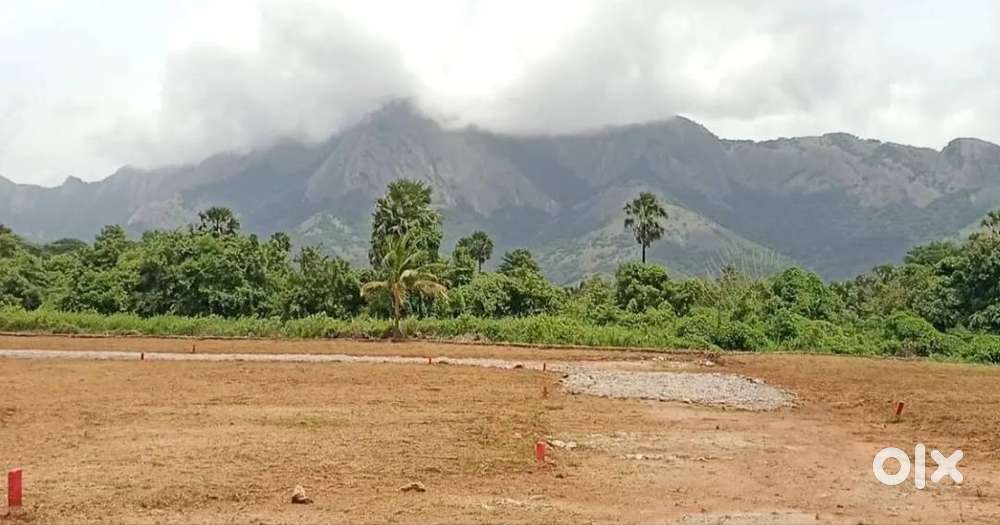 Land for sale near Kanjikode