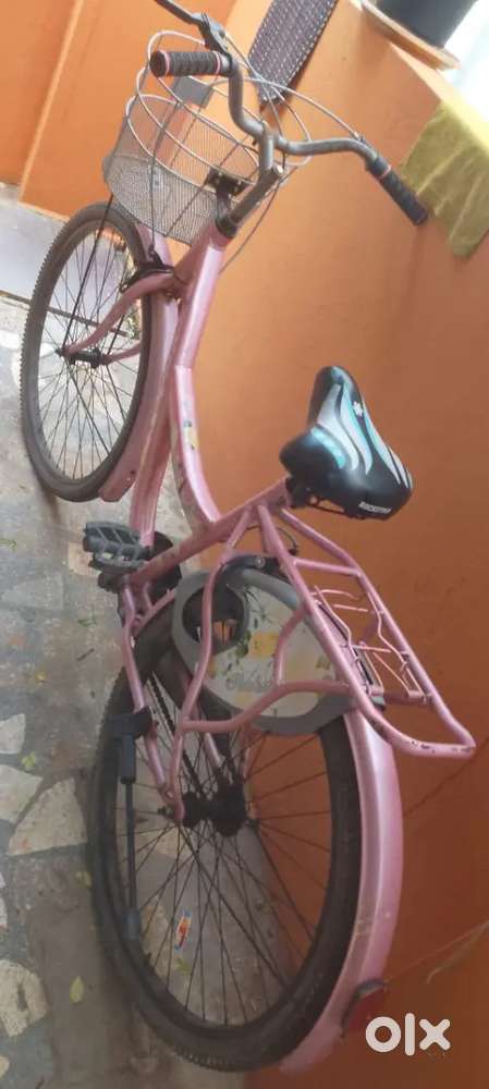 Pink laybird girl's cycle