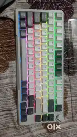 Royal Kludge RK H81 RGB mechanical keyboard