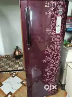 Lg refrigerator
