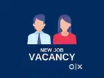 Freshers and experience