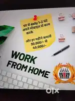 Work From Home Opportunity