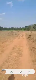 Agriculture land