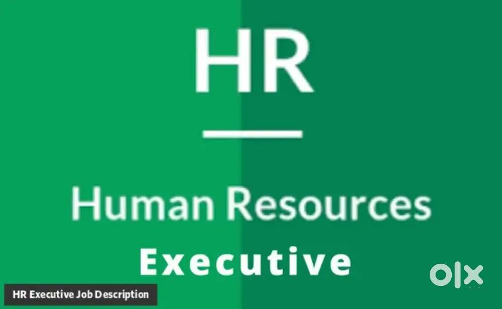 HR Executive - fresher - IT company