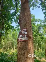 Road side plot sale kama budget