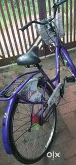Lady birth cycle