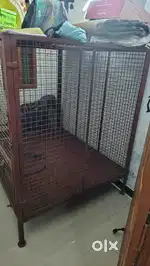Dog cage (Used for Rotwellier)