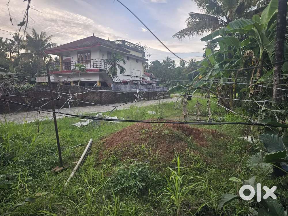 Aluva Nirmala  school 10cent land for sale