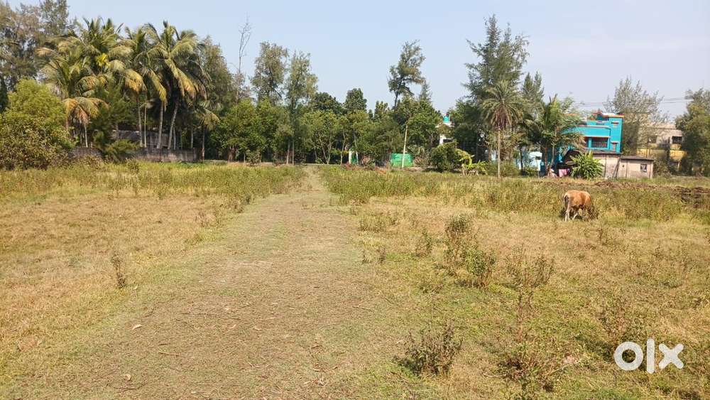 Vacant Land on Usthi Road
