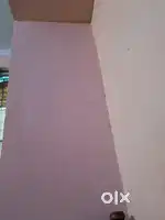 I am looking for a room mate