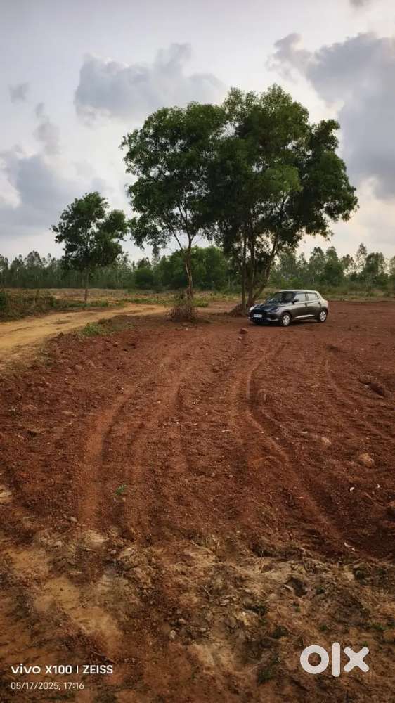 Plot for sale