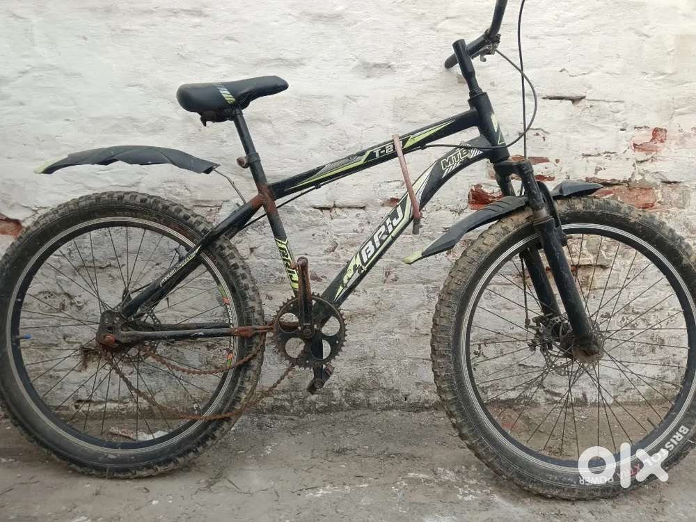 Sport cycle