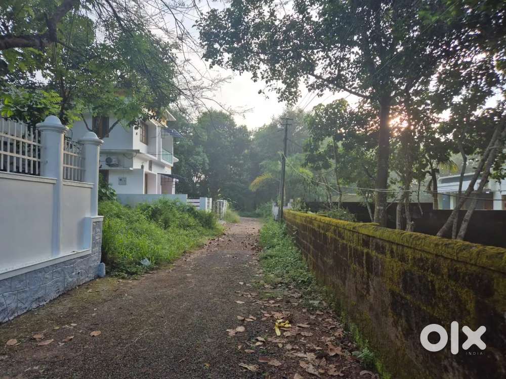 11.8 cents @ 4 Lakh per cents in Thengna, Punnakunne, Changnassery