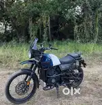 Himalayan 2022