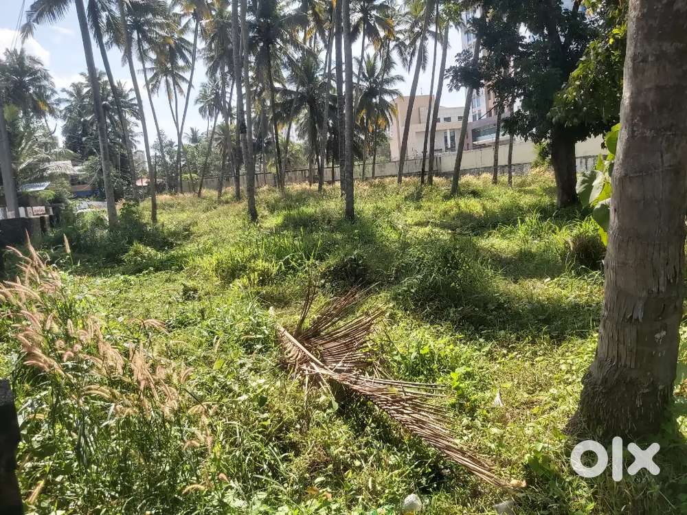 10 cents land for sale