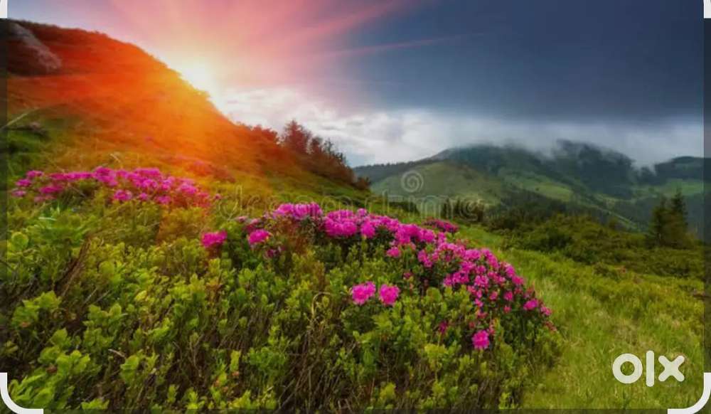 Need A fast food/chinese karigar/chef