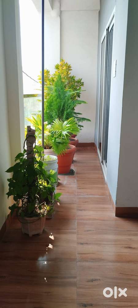 Silicon valley near DPS school