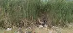 selling land in residential area