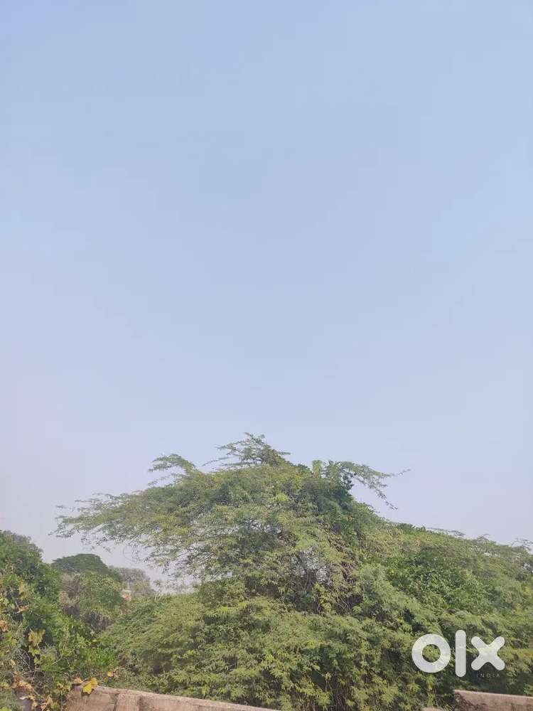 2 bigha for farm houses