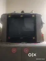 Oscar television