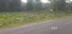 25&50 cent premium house plot at Pala municipality mundupalam