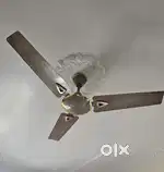Fan  Usha 1200mm