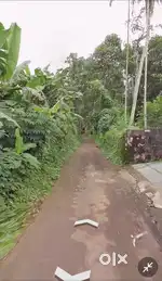 8-Cent house plot 500 mts from Vazhappally junction, Muvattupuzha