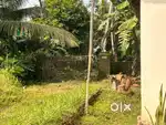 Plot for sale in puttur, Dakshina Kannada