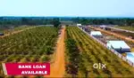 Small investment Big returns kothavalsa