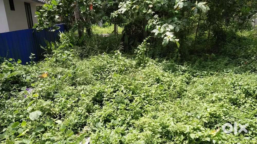 8.75 Cents land sale in Alappuzha.