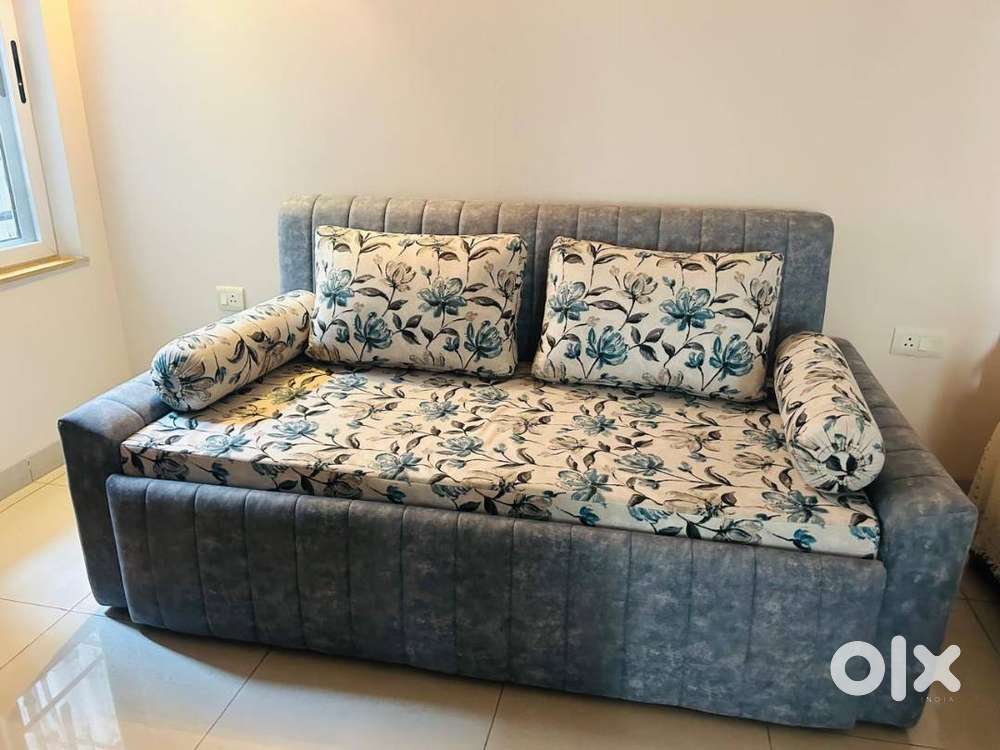 Sofa Cum Bed