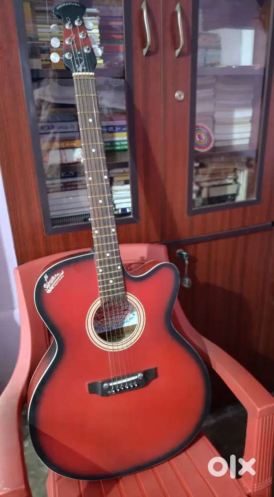 Guitar musical instrument