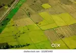 Required land in Borpara or near Tata Service centre