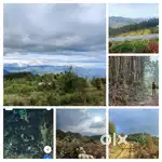 High altitude farm land @ Mannavanur