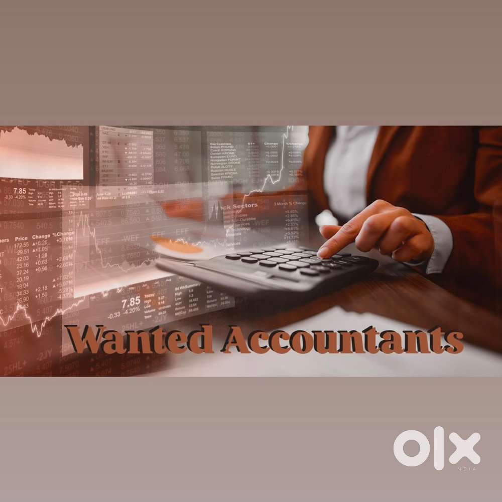 Immediate Wanted Accountants
