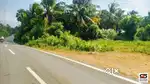 Industrial land for sale in Velanthavalam, Palakkad