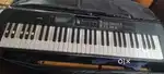Casio CTS 300