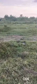 CMDA APPROVED PLOT FOR SALE