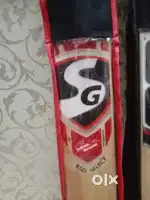 Brand new english willow cricket bat combo with guarantee