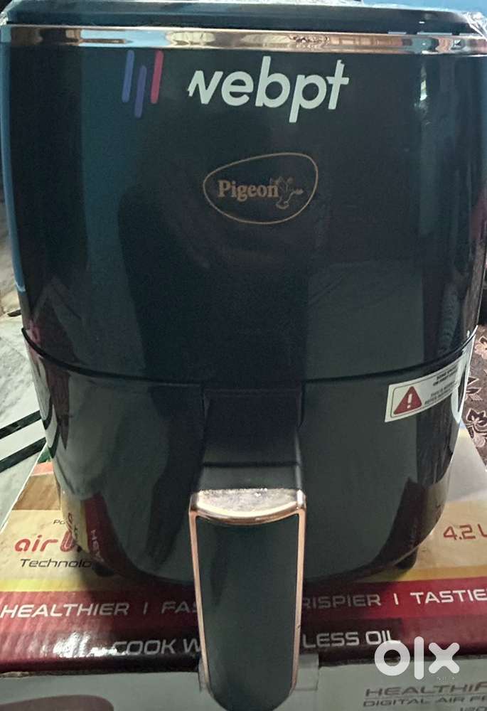 Air fryer - pigeon